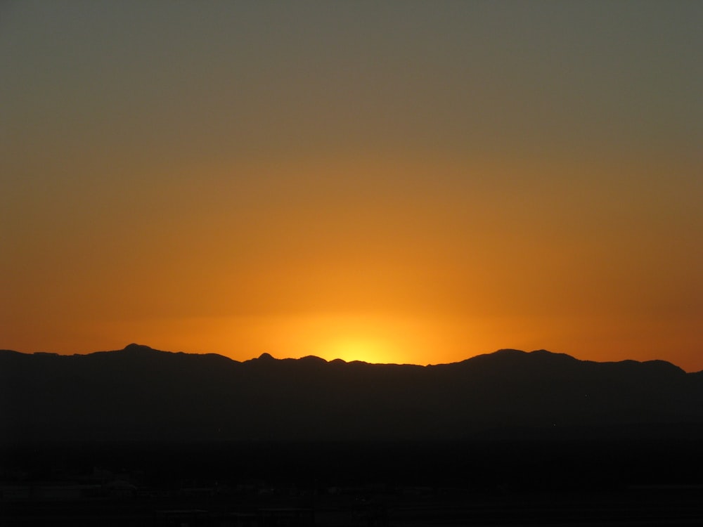 landscape during golden hour