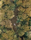 Aerial drone shot capturing an outdoor ceremony nestled in a forest clearing.