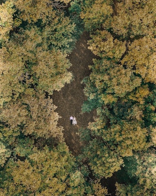 Aerial drone shot capturing an outdoor ceremony nestled in a forest clearing.