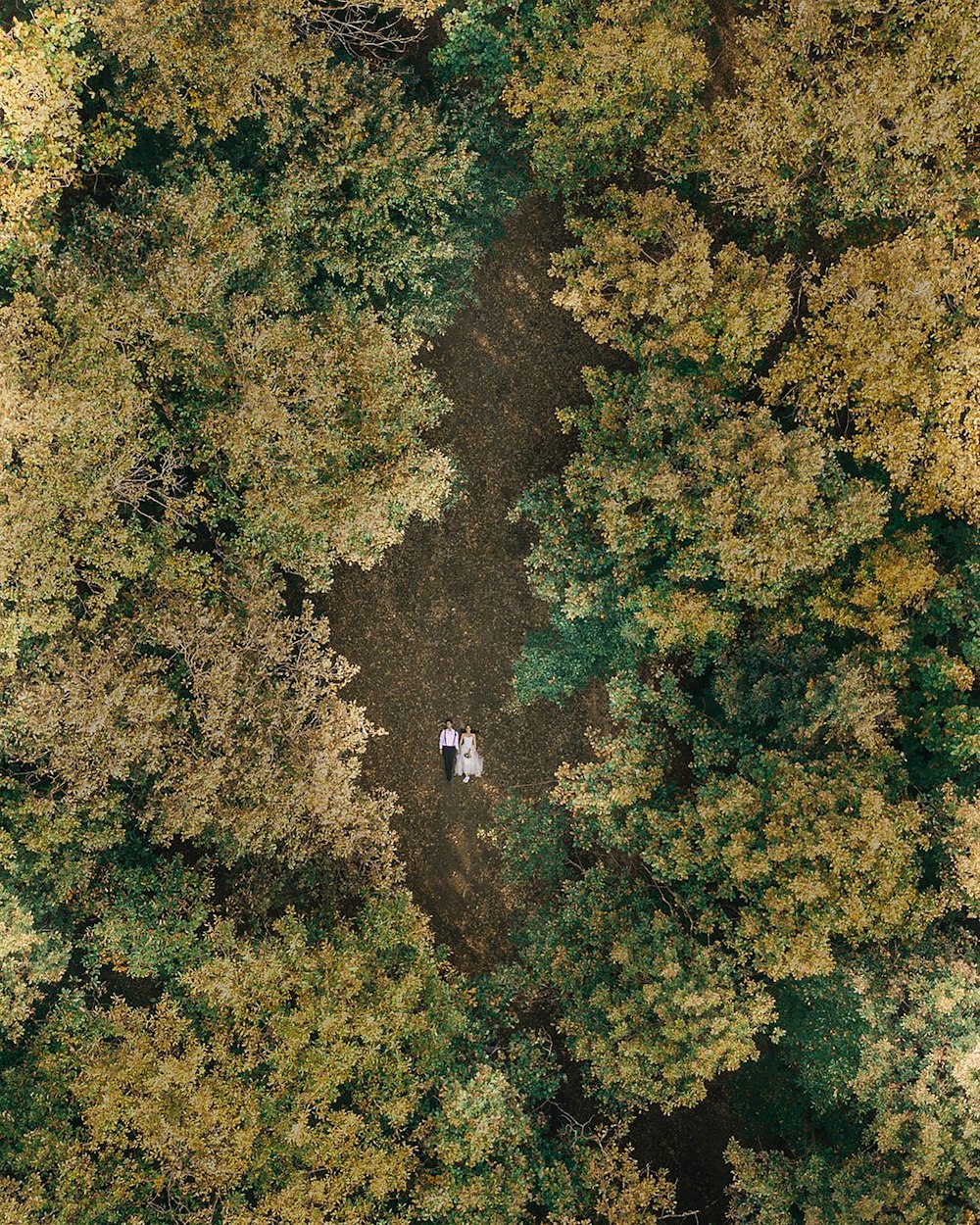 man and woman lying on the ground surrounded by trees