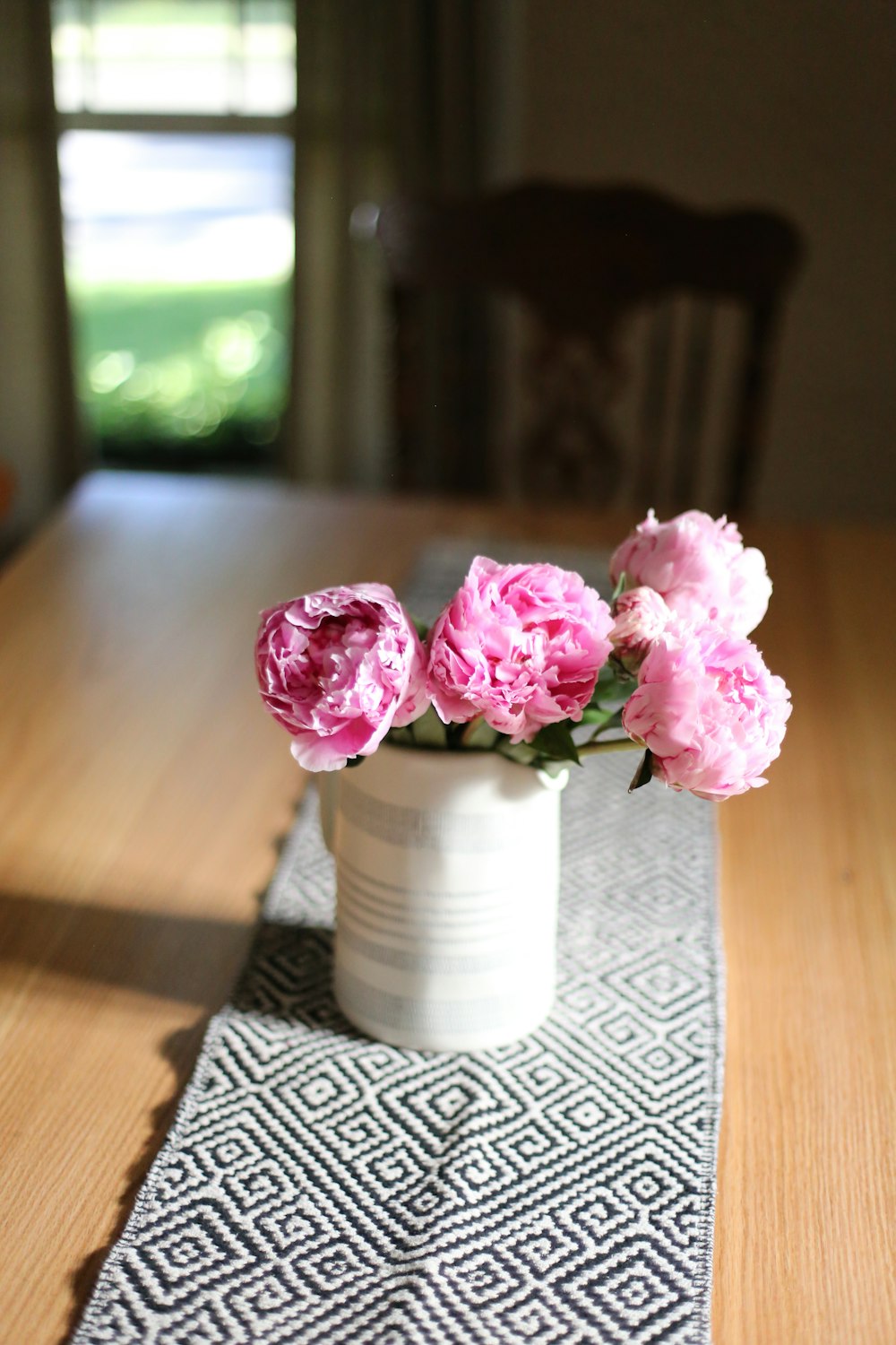 pink and white petaled flowers close-up photography