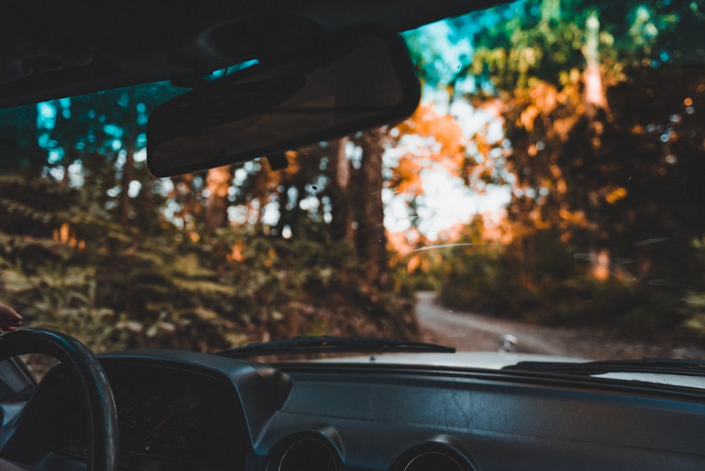 a man driving a car down a forest road