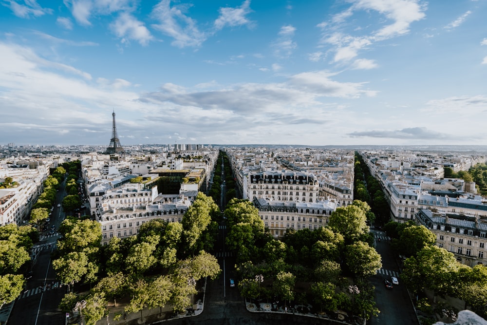 aerial view photo of trees besides white buildings