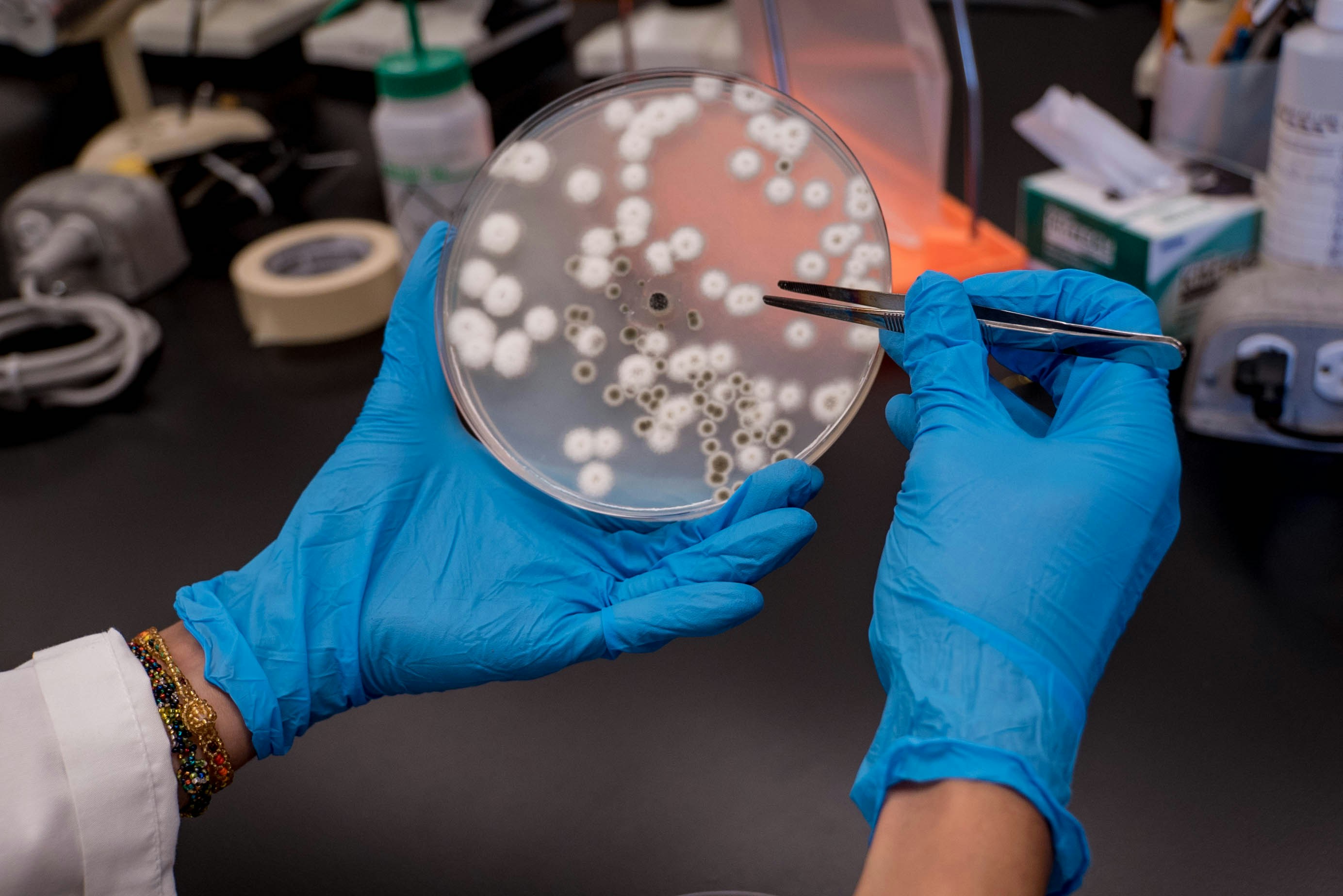 Citigroup Maintains Buy on Bio-Rad Laboratories, Raises Price Target to $375
