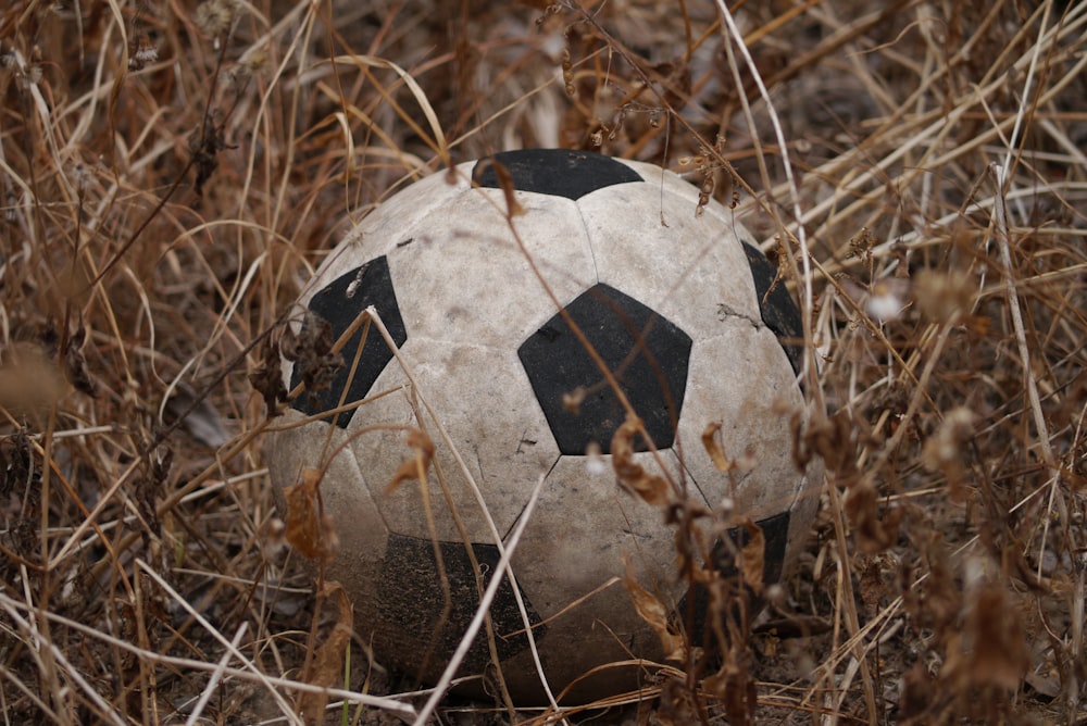 black and white soccer ball in brown field
