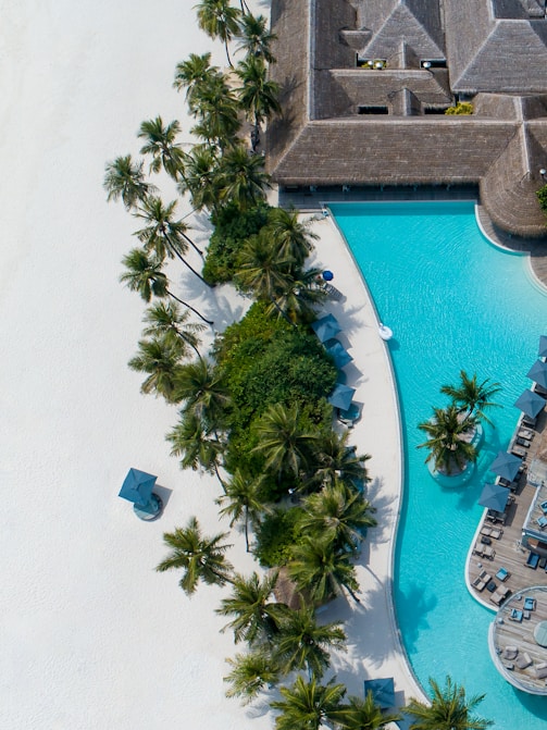 aerial photography of resort