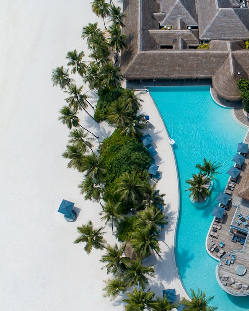 aerial photography of resort
