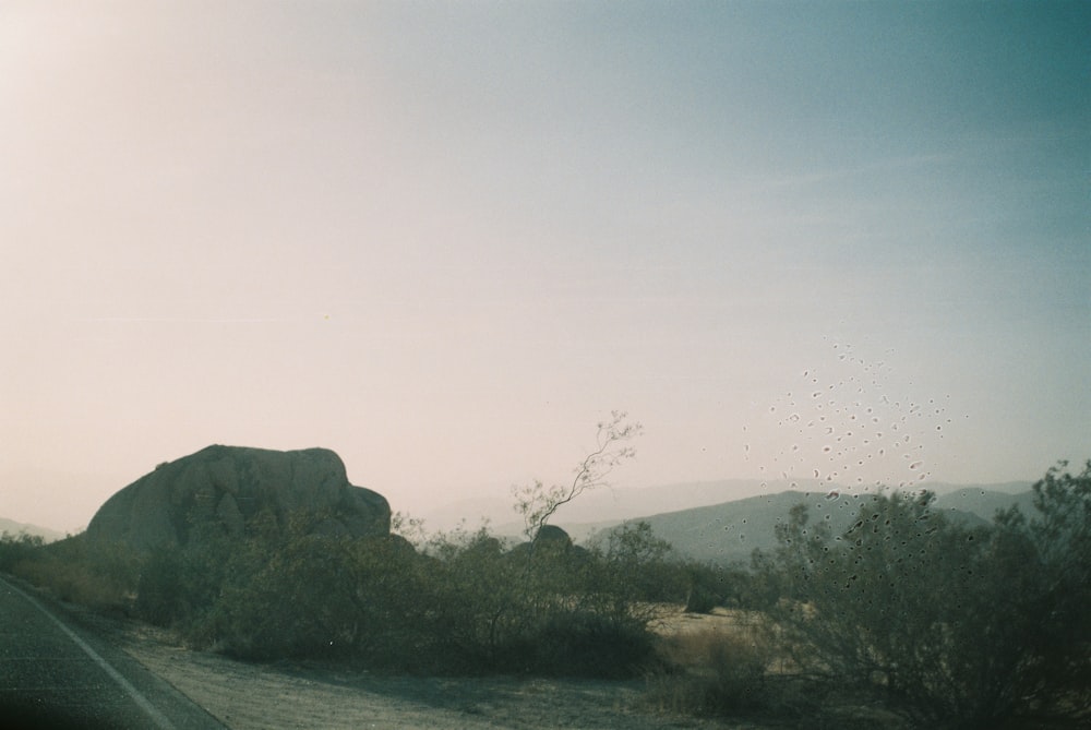 an elephant standing on the side of a road