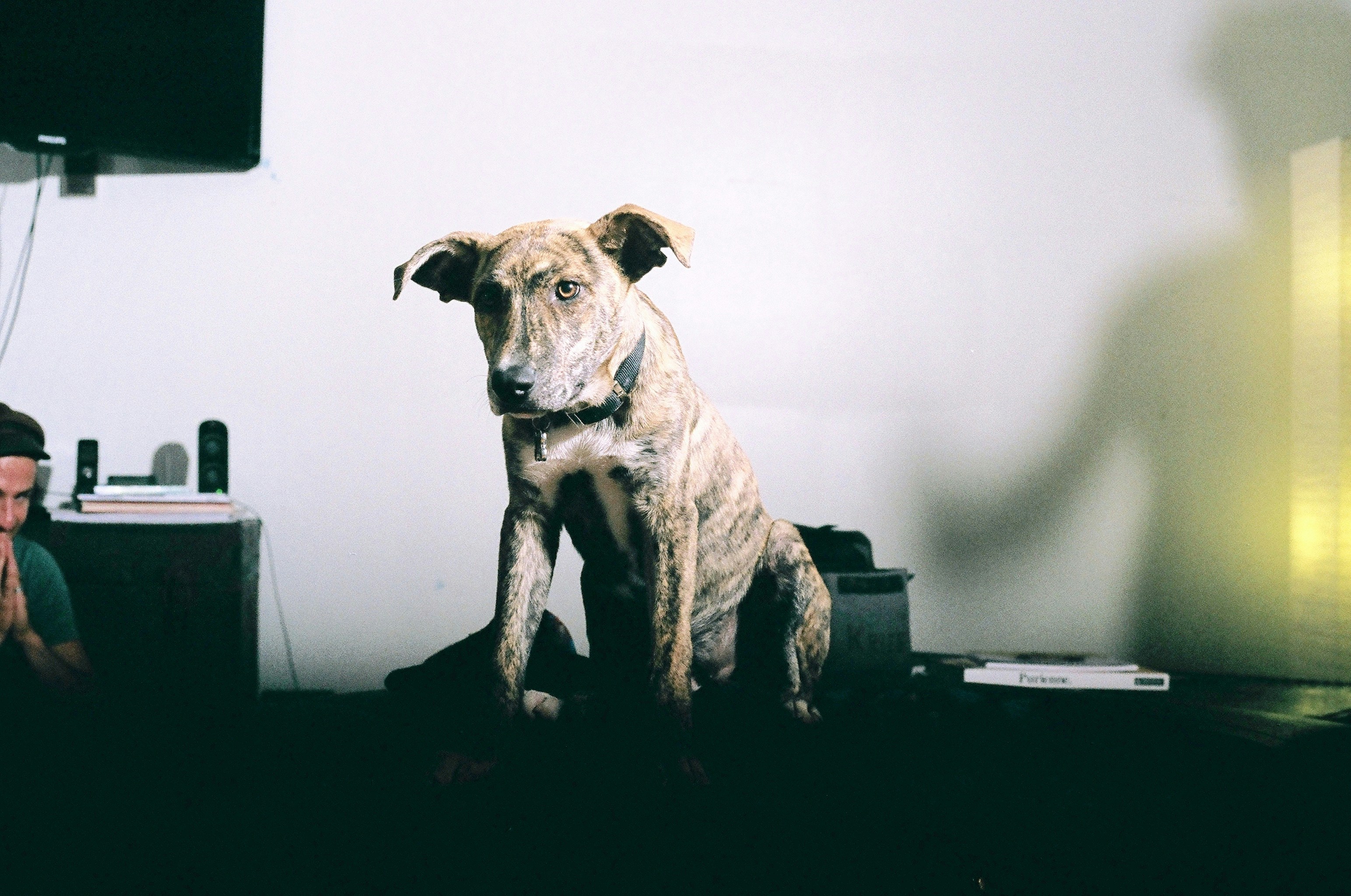 Photo by bhoogenboom