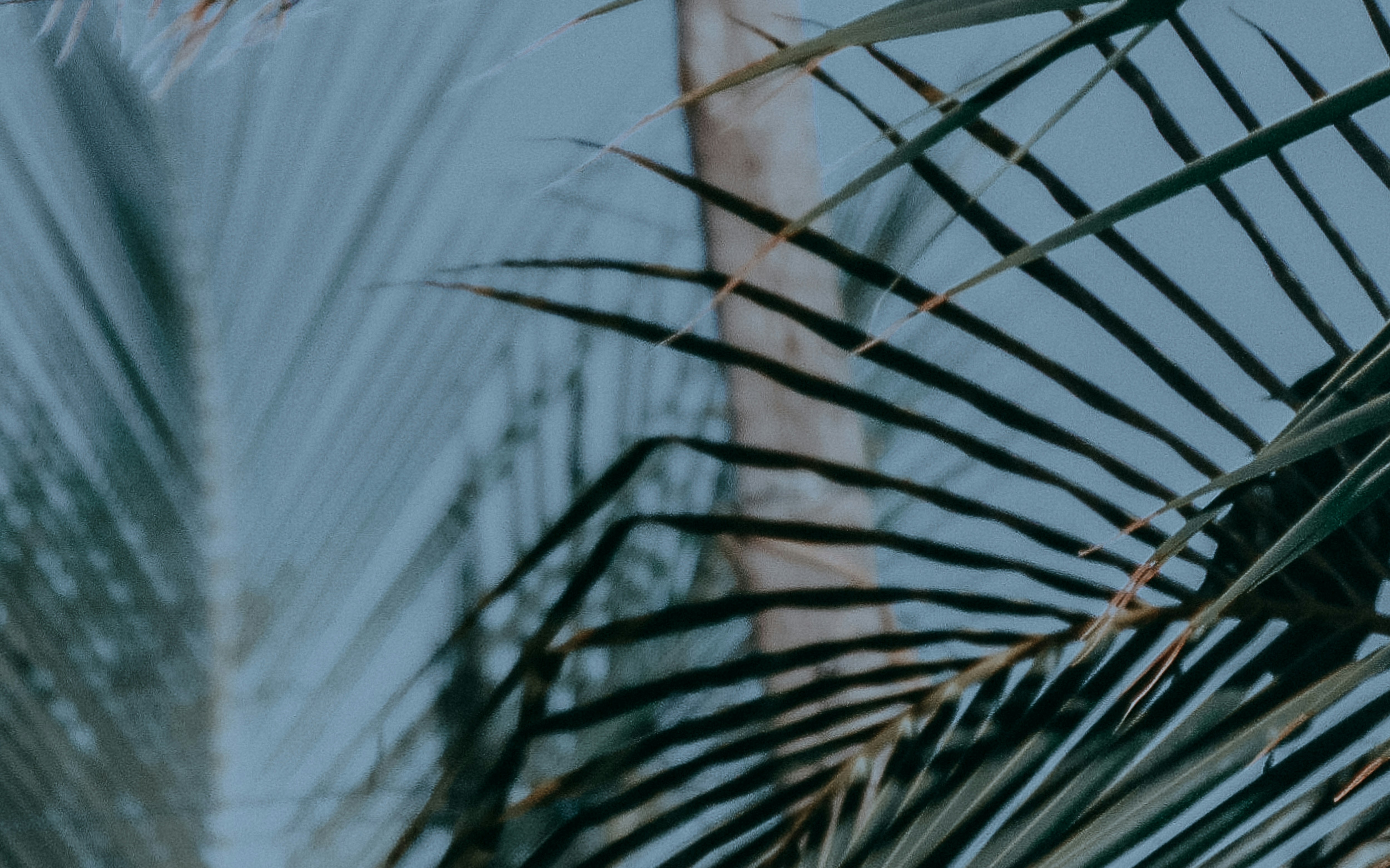 Photo by giovanathayane