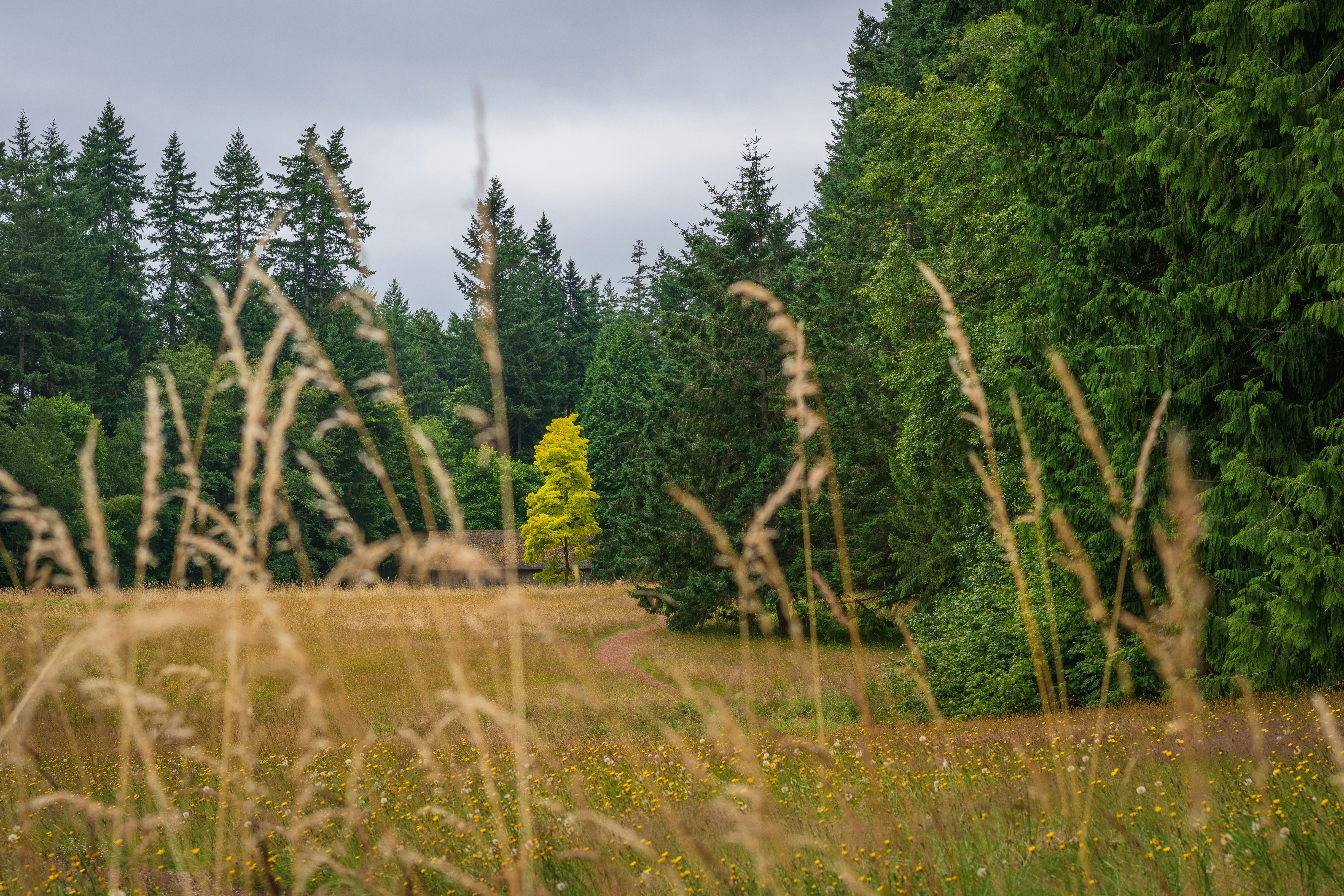 Photo by wanderingcrow