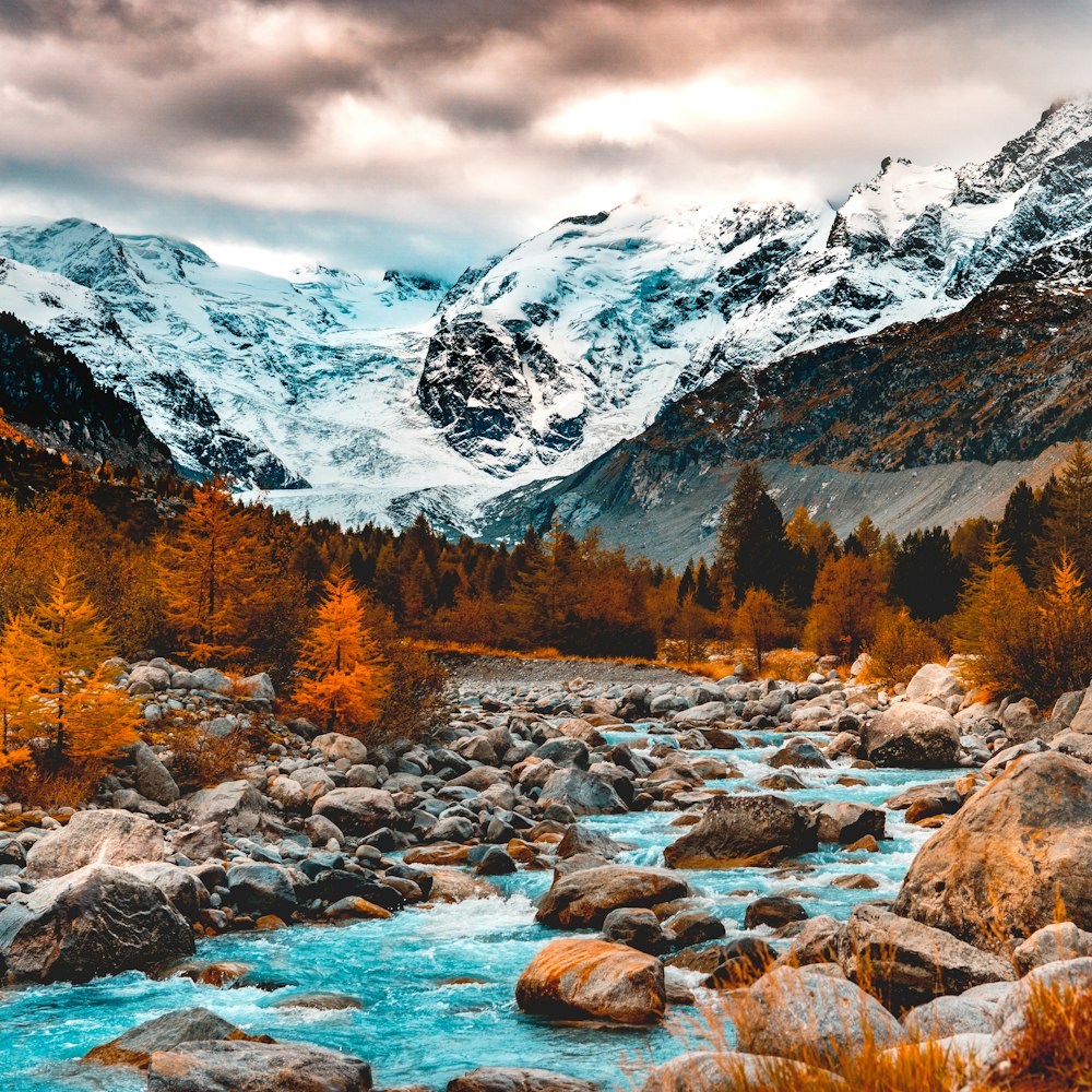 Río cerca de las montañas