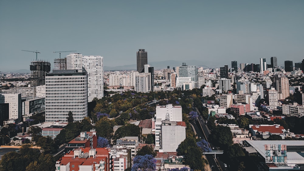 high angle photo of cityscape