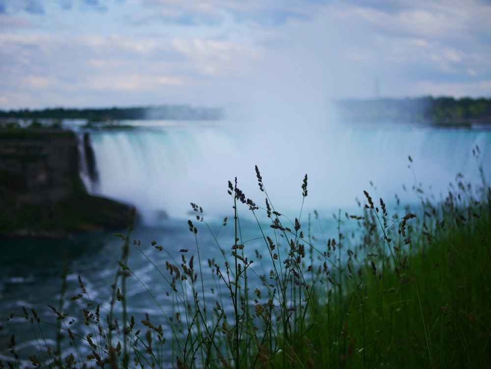 fotografia com foco seletivo de cachoeiras durante o dia