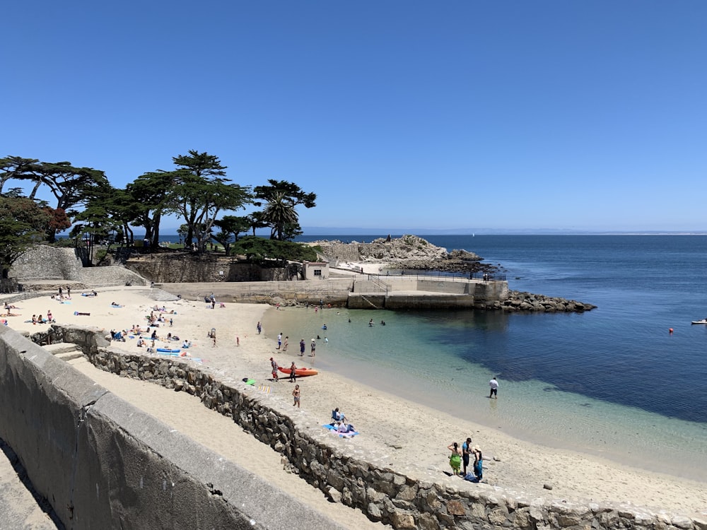 people near seashore viewing blue sea during daytime