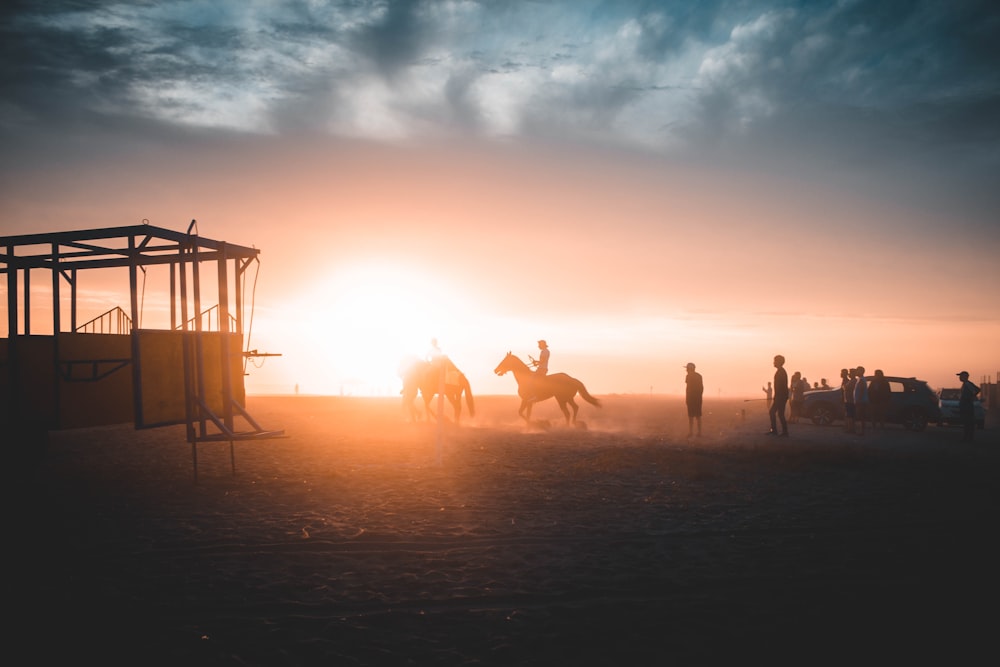 Silhouette einer Person, die tagsüber auf einem Pferd reitet