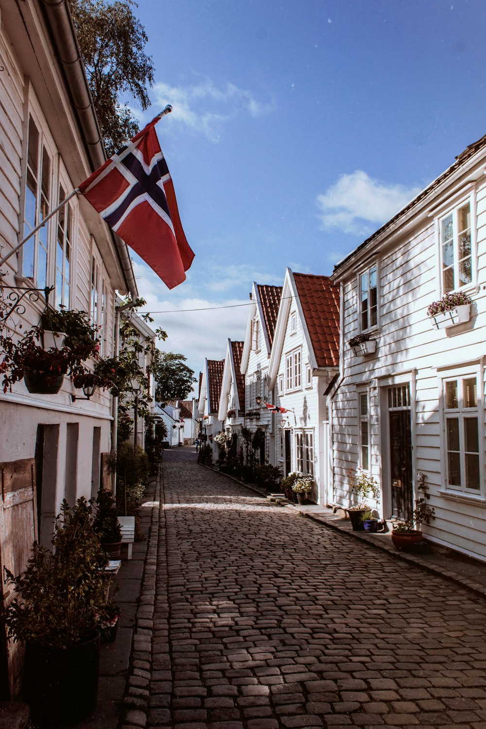 selektives Fotografieren der norwegischen Flagge bei Tag