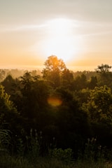 Sunrise over rolling hills covered with dense forest.