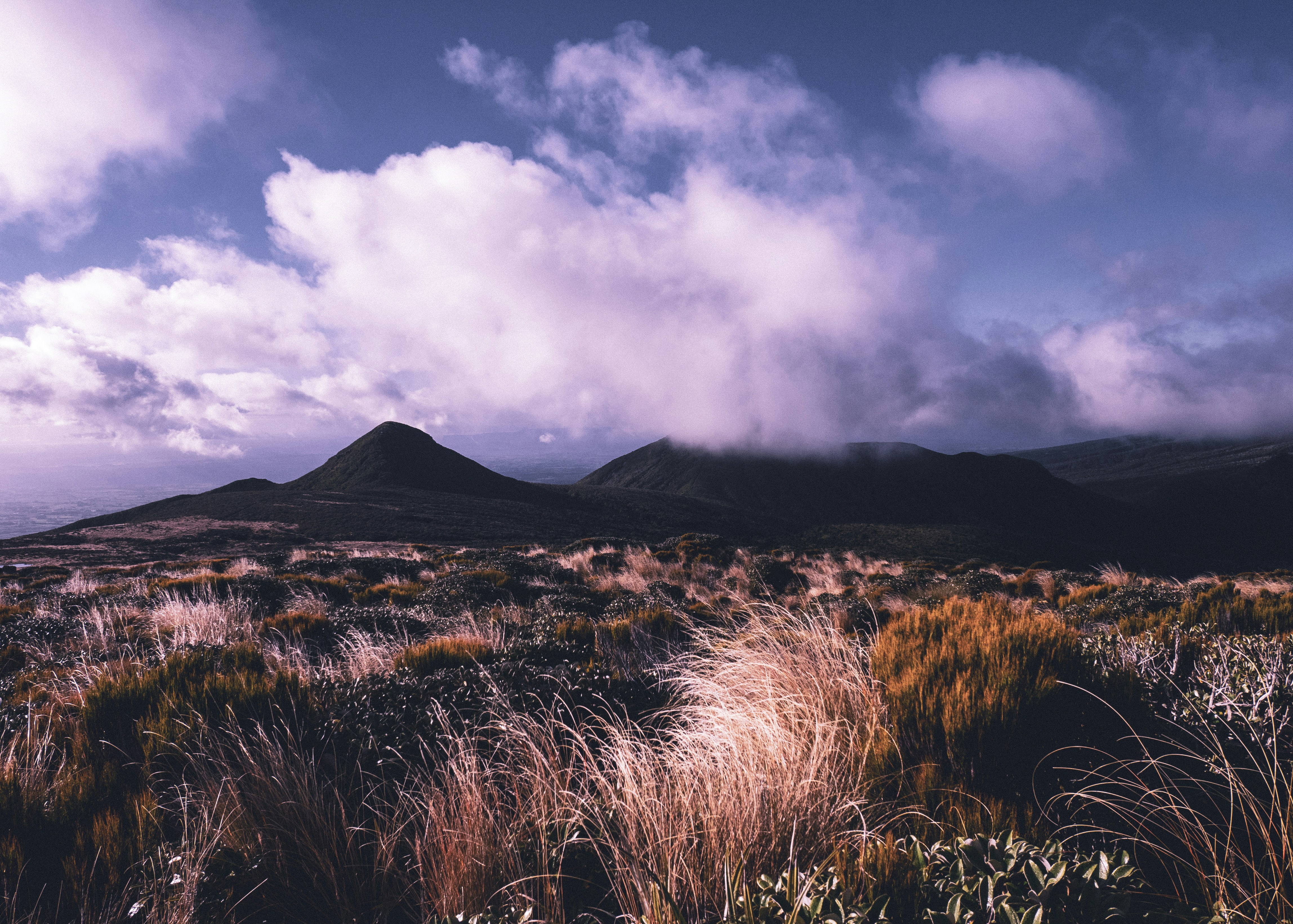 Photo by yulia_gadalina