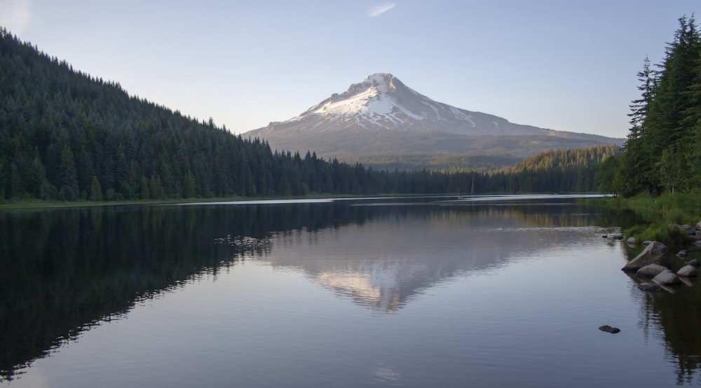 body of water in between pine forest with snow-covered mountain in background