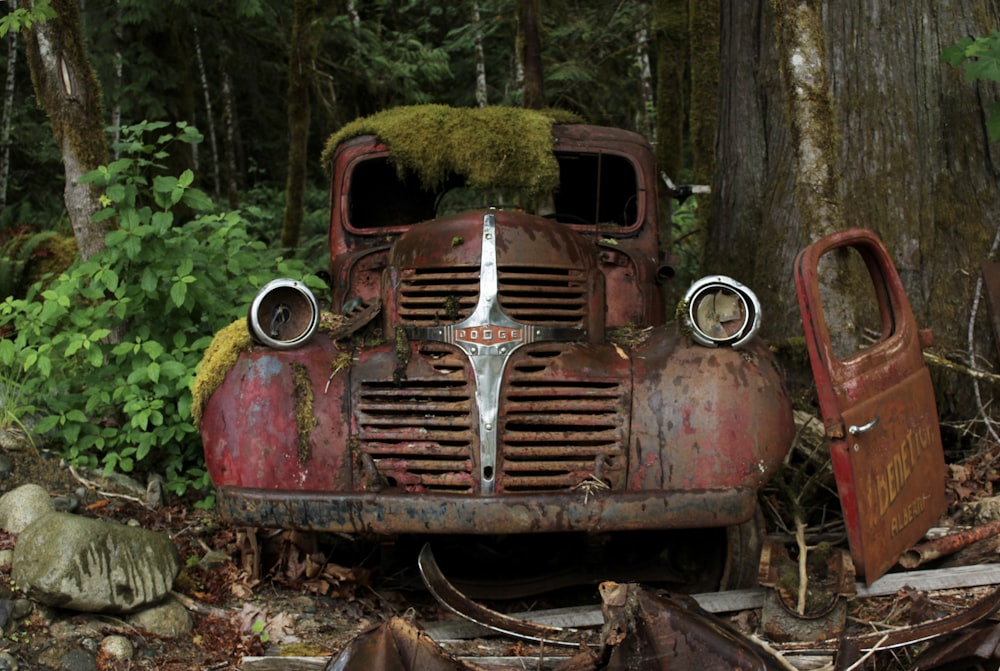 veículo Dodge vermelho abandonado embaixo da árvore
