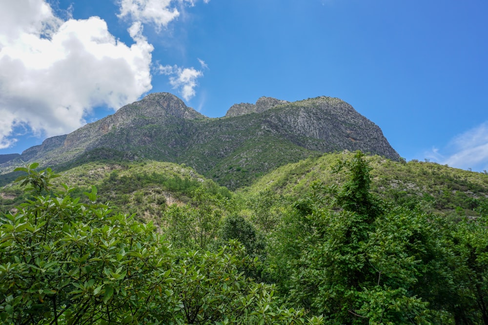 mountain under blue sky