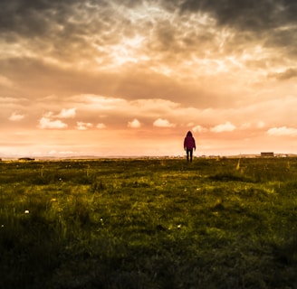 person standing on green field under orange skies