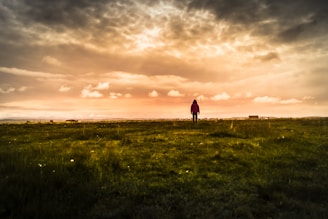 person standing on green field under orange skies