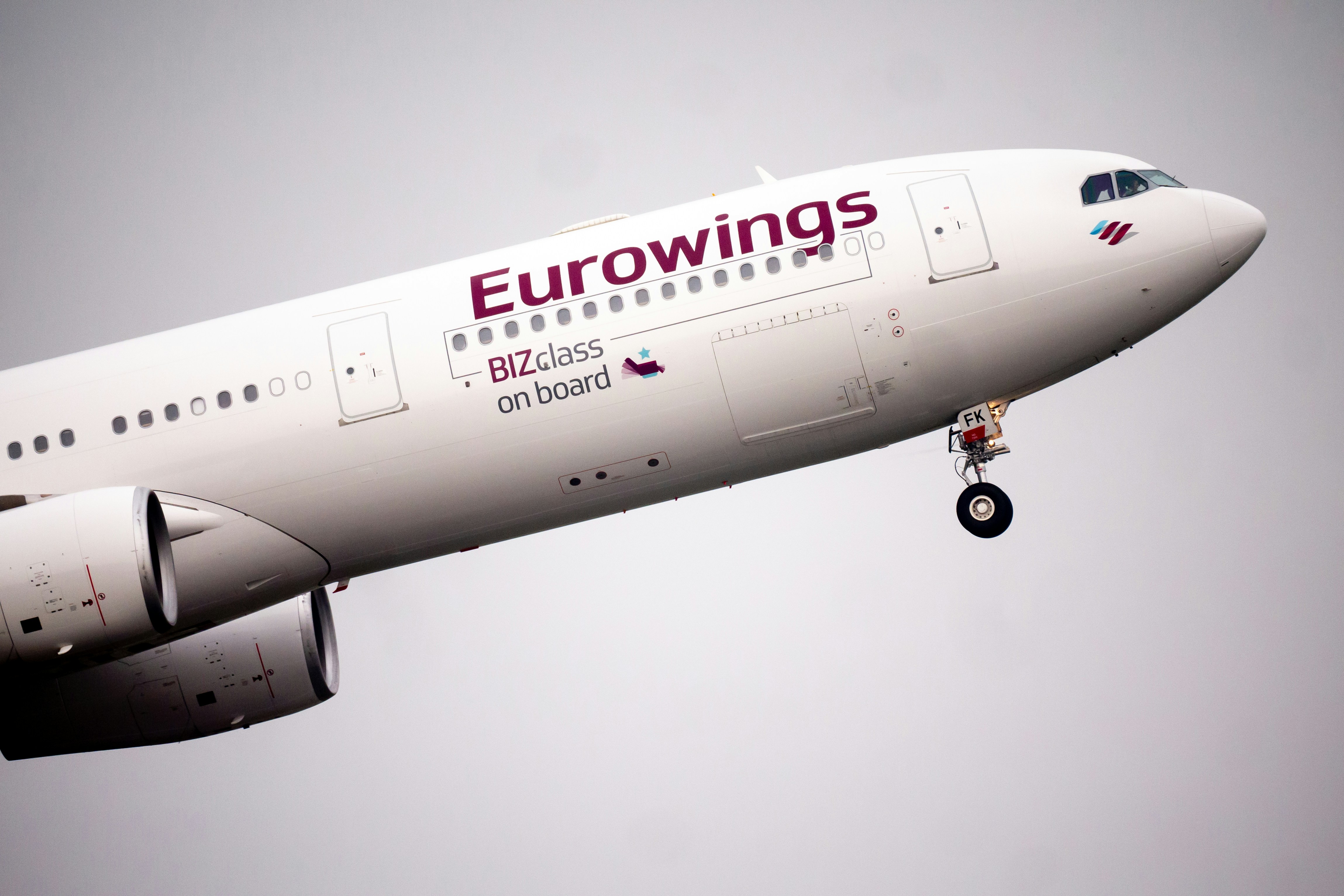 白いユーロウィングス機
