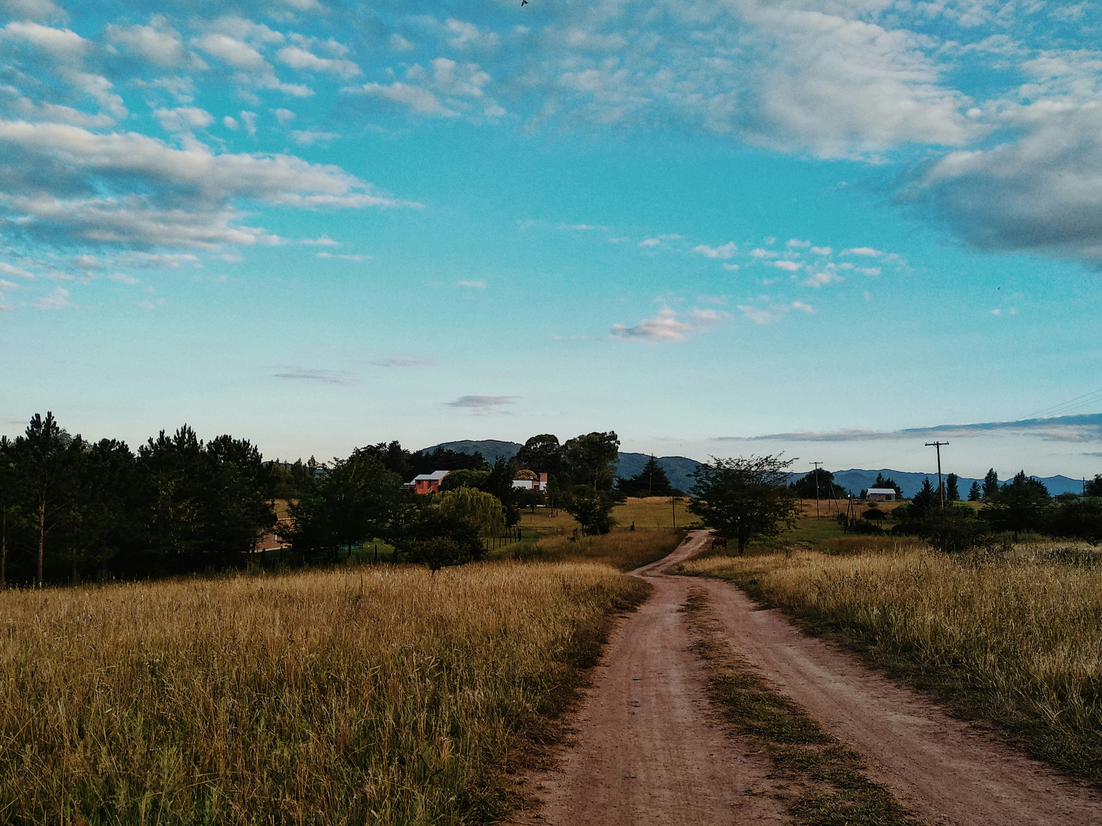 Photo by ivanstanley