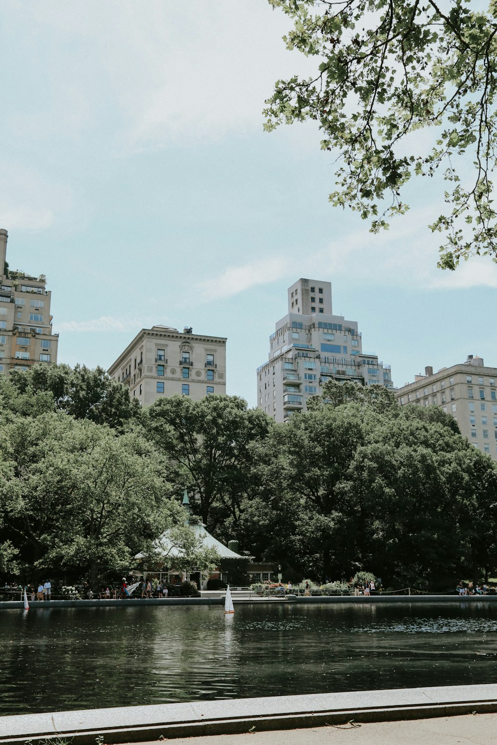 high-rise buildings surrounded with tall and green trees