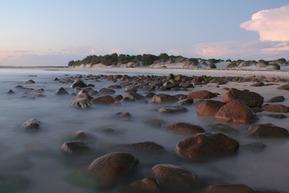 rocks at the shore during daytime