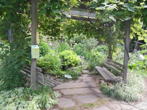 A serene hospital garden where volunteers gather for a break.