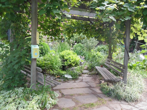 A serene communal garden space with benches and native plants where residents can gather.