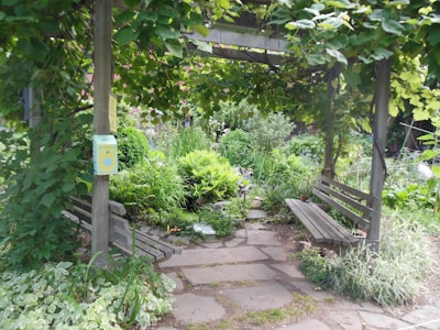 A serene garden with lush greenery and comfortable seating.