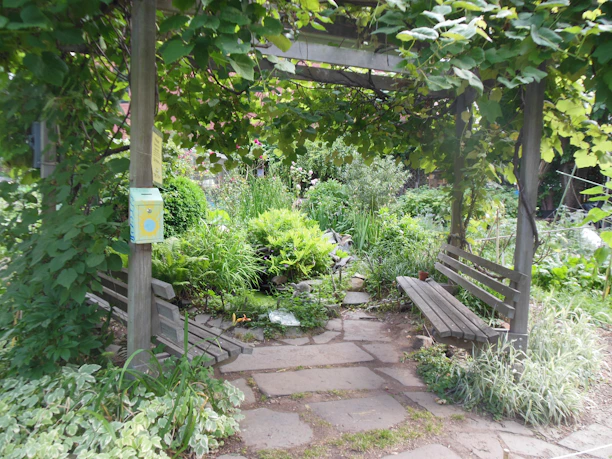 A peaceful outdoor garden space with greenery and comfortable benches.