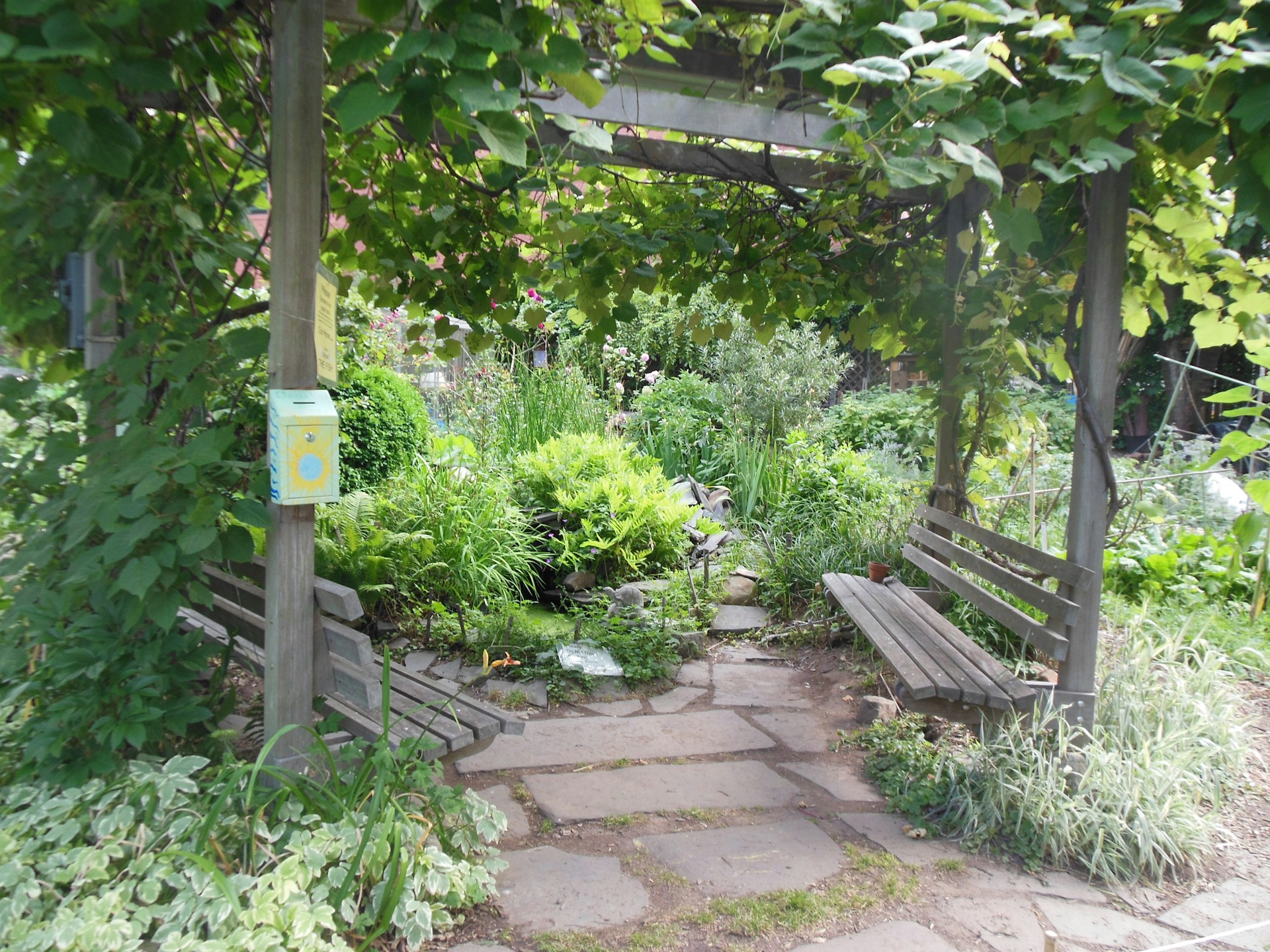 Peaceful outdoor garden space with walking paths and benches surrounded by lush greenery, inviting relaxation.