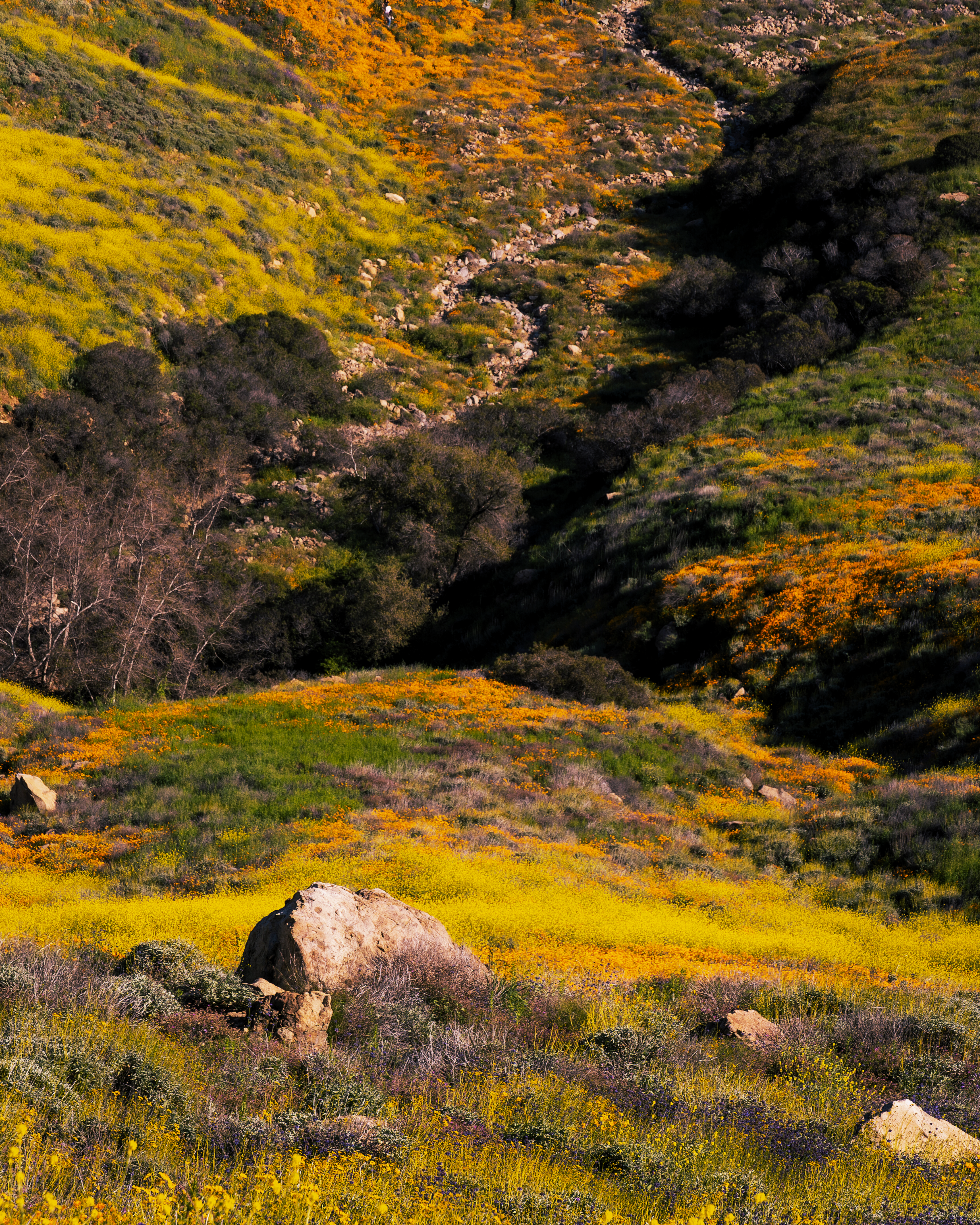 Photo by jaidabentley