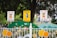 Three colorful signs with animated characters are displayed at the entrance of a school. The center sign is yellow with a blue boy holding a toy, while the two white signs on either side feature a girl in a red dress and yellow outfit. The signs are mounted on a fence decorated with floral motifs and playful designs, surrounded by greenery.