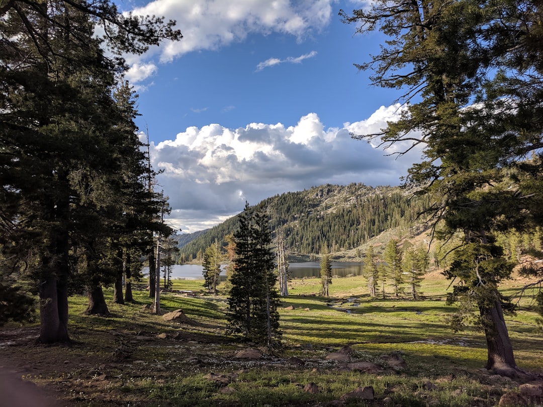 travelers stories about Nature reserve in Pacific Crest Trail, United States