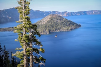 A serene landscape with a soaring eagle in the sky.