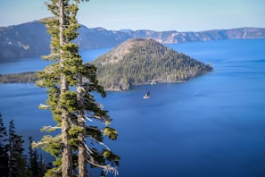 An eagle soaring high above a crystal-clear river winding through pine forests.