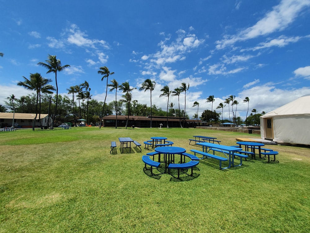 blue picnic tables on grass field at daytime