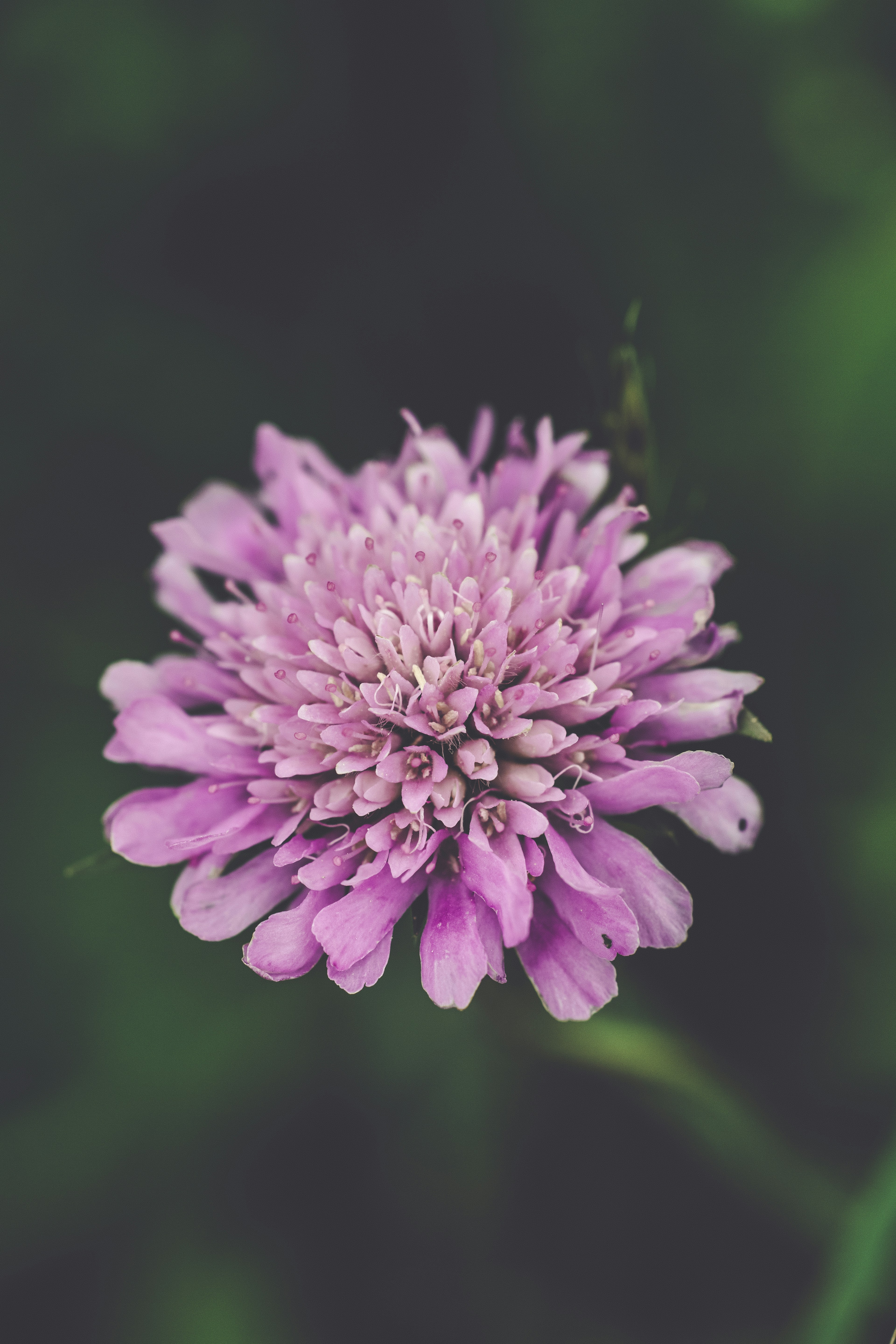 Photo by markusspiske