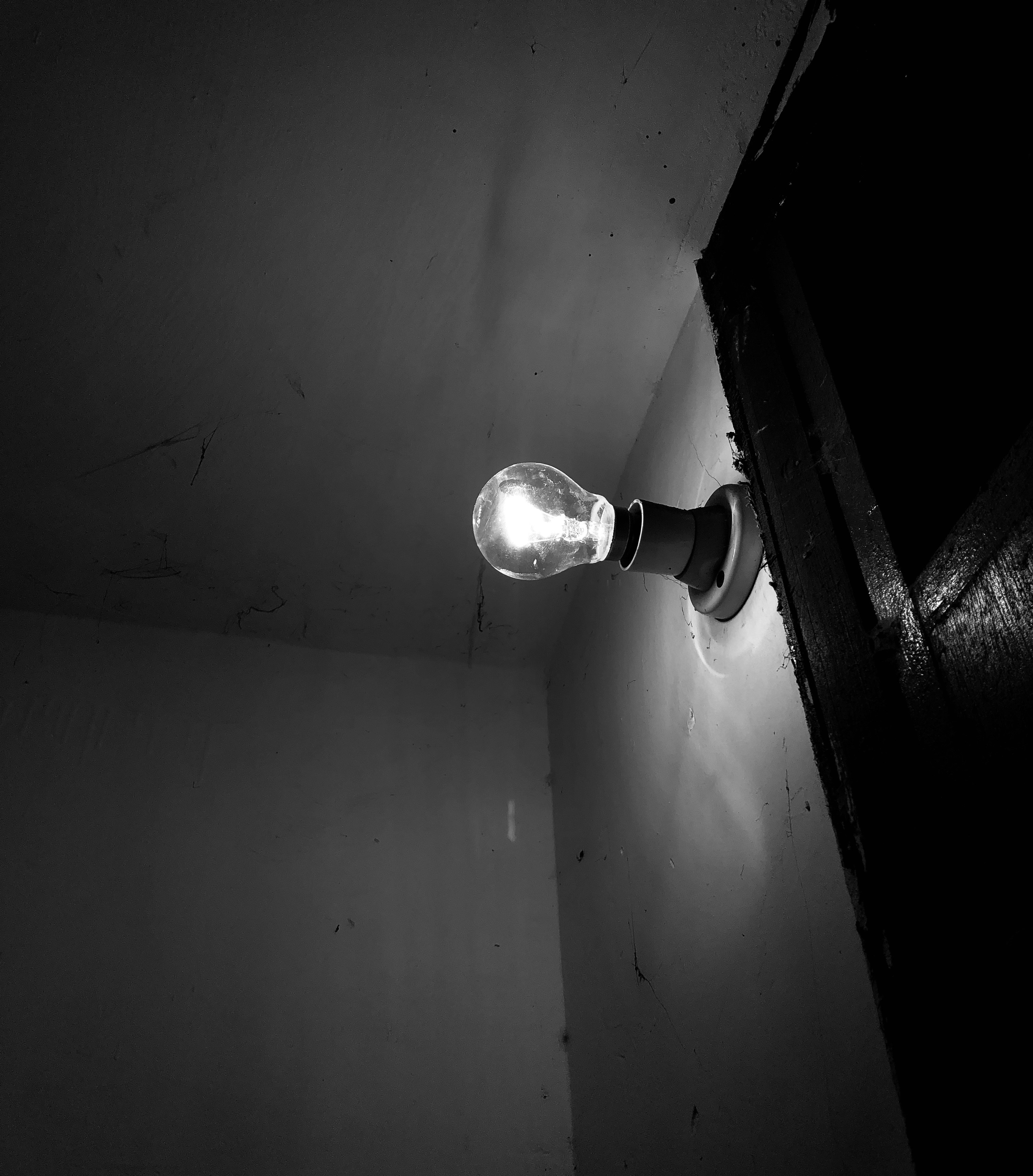 Photo by havencreative