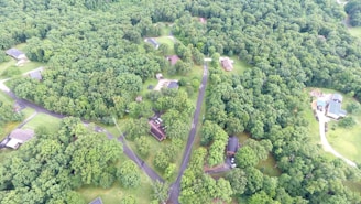 An aerial view of a suburban area surrounded by dense, lush green forest. The image features several houses scattered across the landscape, connected by paved roads winding through the trees. The houses are mostly spaced apart, indicating a residential neighborhood. The vegetation appears dense with a variety of trees dominating the scene.