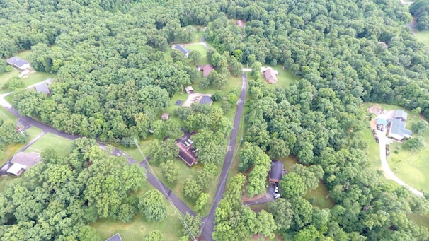 An aerial view of a suburban area surrounded by dense, lush green forest. The image features several houses scattered across the landscape, connected by paved roads winding through the trees. The houses are mostly spaced apart, indicating a residential neighborhood. The vegetation appears dense with a variety of trees dominating the scene.