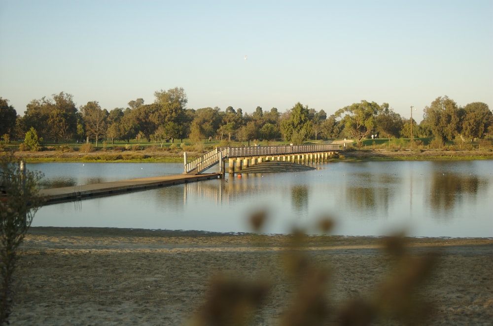 brown bridge photography