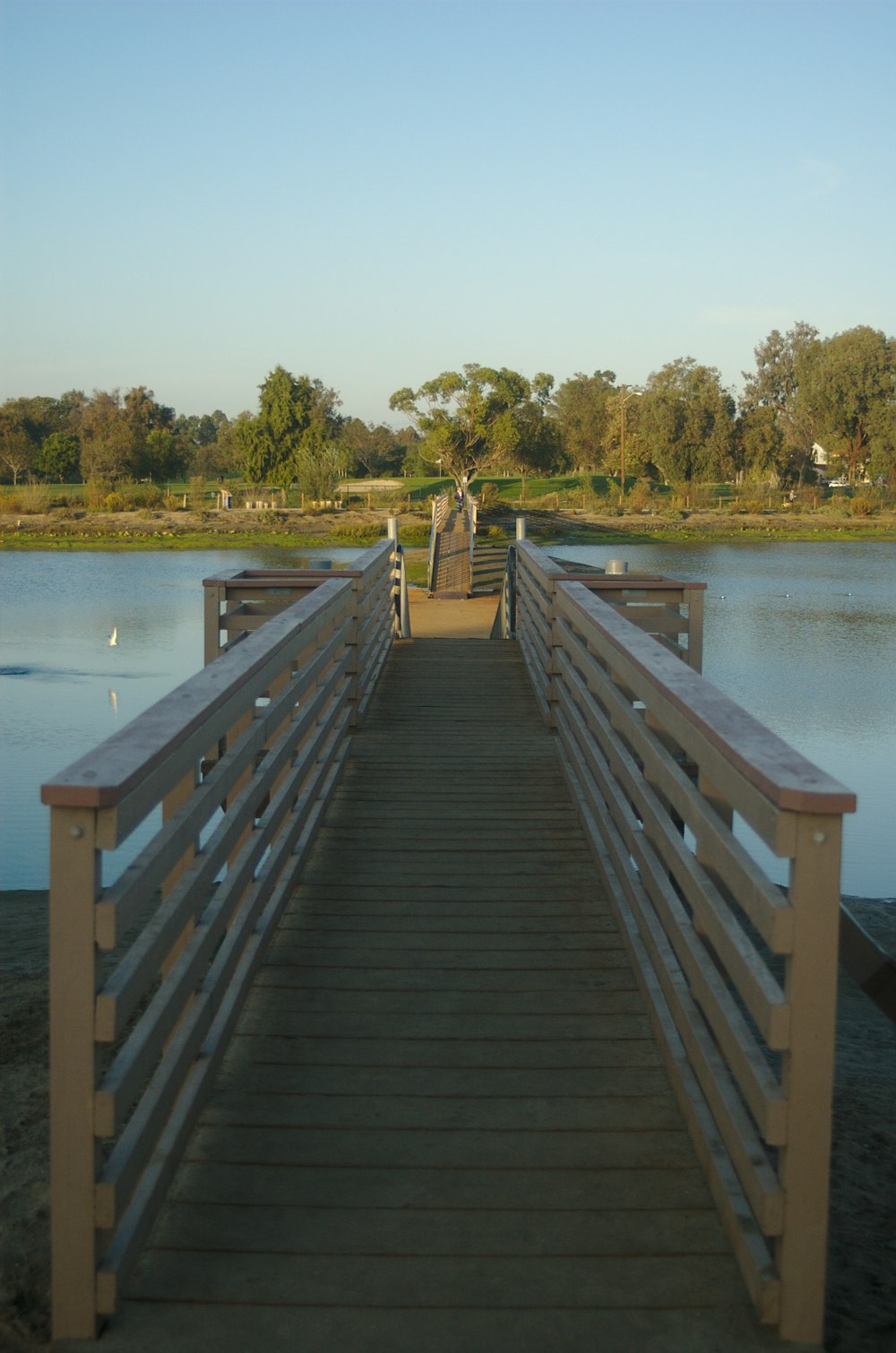 muelle de madera marrón durante el día