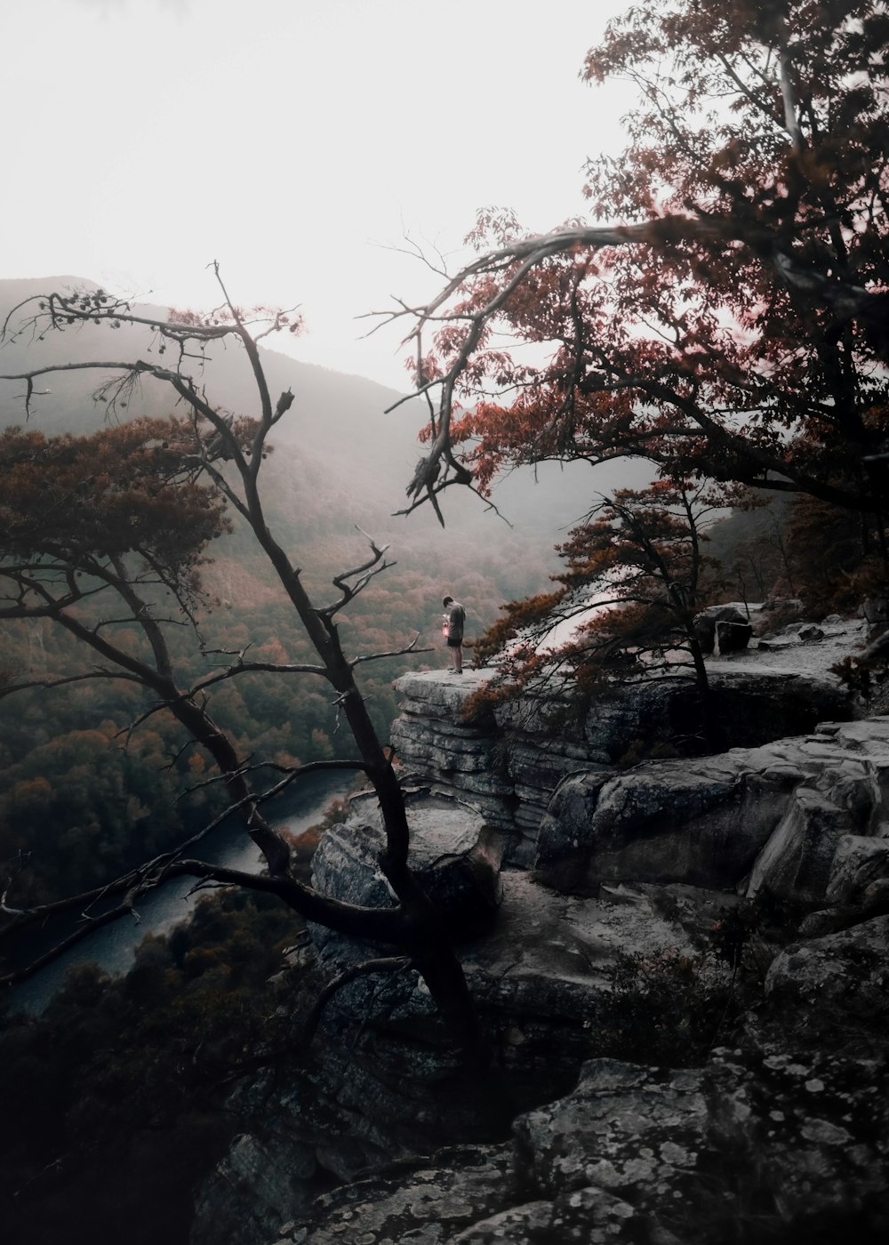 man standing on the cliff